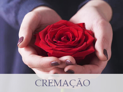 Cremação - Mitos e verdades