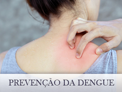 Prevenção da dengue