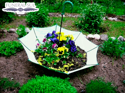 Jardin plantado dentro de um guarda-chuva - plantas